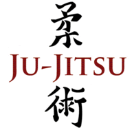 Stage de Ju Jitsu n°1 - Saint Leu d'Esserent