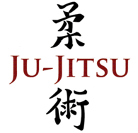 Stage Ju Jitsu