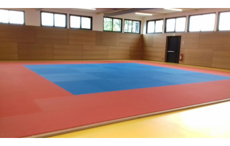 Deux petites photos du Dojo